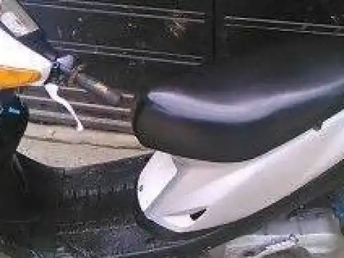 Pasola artistica 1999 