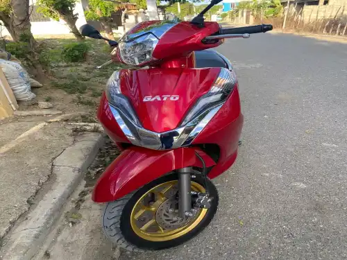 Pasola gato Lead 150 2022