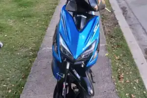 Pasola tauro BZ-plus 2022