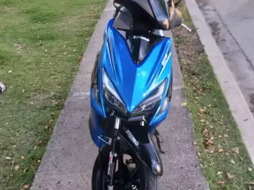 Pasola tauro BZ-plus 2022