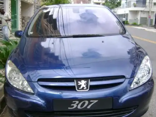 Peugeot 3072005