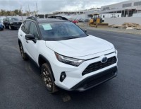 Rav4 off road hibrida