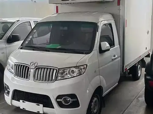 Se vende camión SHINERAY refrigerado