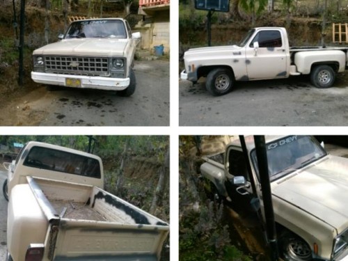 Se vende Chevy C10 del 1980