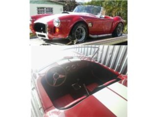 Shelby Cobra 1967 Kit Car