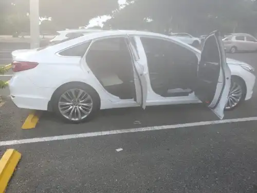 Sonata LF 2017 