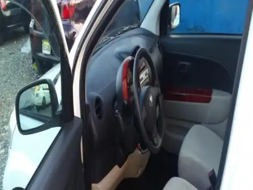 Toyota Passo 2010
