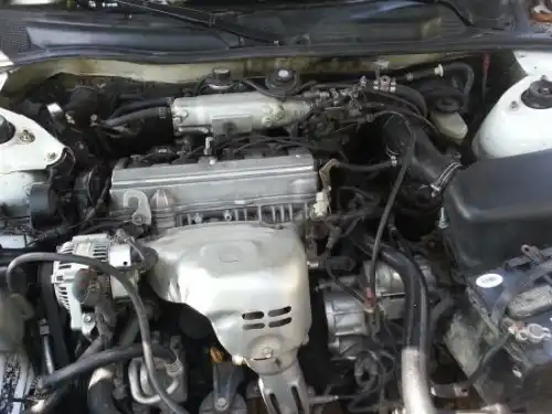Toyota camry 1999 blonco 