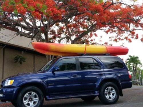 Toyota Four Runner 2002 NITIDA