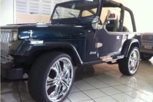 Wrangler JY 1993 6 en linea