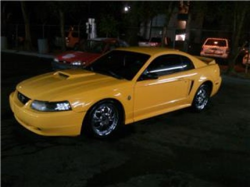 mostang unico y lindo se cambia