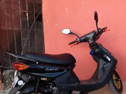 pasola gato sport 125 2022